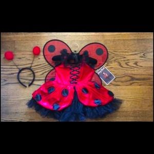 Childrens deluxe lady bug costume